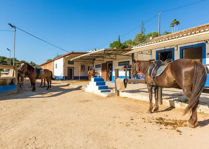 Casa Bela Vista - Fantastic Sea View * アルブフェイラ