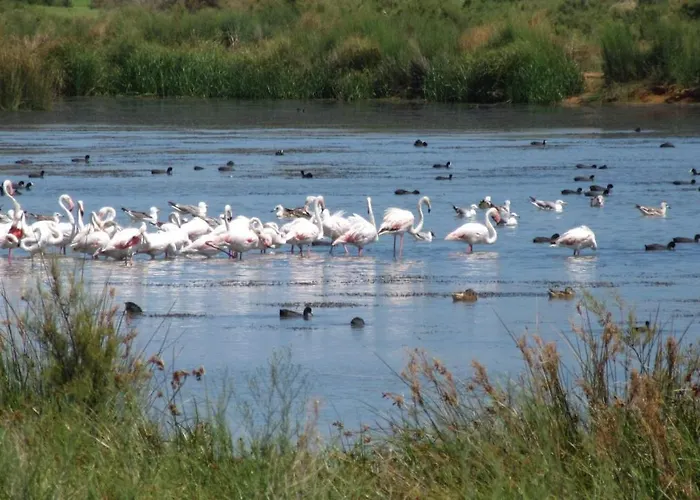 別荘 Casa Bela Vista - Fantastic Sea View アルブフェイラ