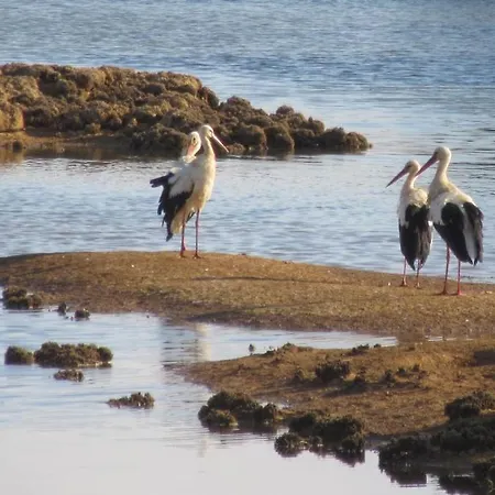 Casa Bela Vista - Fantastic Sea View * Albufeira