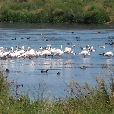 Ferienhaus Casa Bela Vista - Fantastic Sea View Albufeira