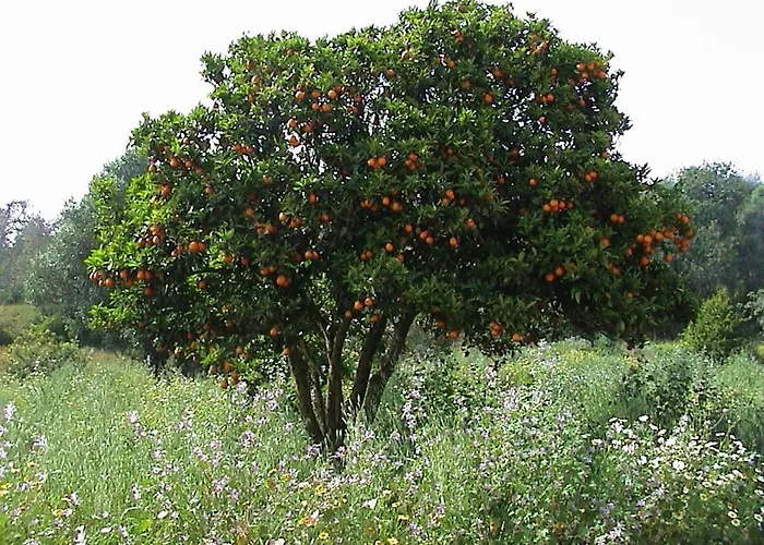 펜션 Casa Bela Vista - Fantastic Sea View